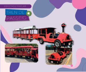 Activitat tren de passeig